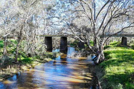 Paysage fluvial sur la rivière Campaspe dans l'après-midi près d'Axedale à Victoria, Australie.