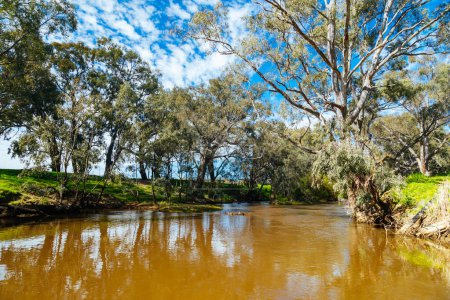 Paisaje fluvial en el río Campaspe durante la tarde cerca de Axedale en Victoria, Australia.