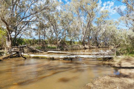 Téléchargez les photos : Paysage fluvial sur la rivière Campaspe dans l'après-midi près d'Axedale à Victoria, Australie. - en image libre de droit