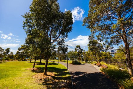 Téléchargez les photos : SYDNEY, AUTRICHE - 03 DÉCEMBRE 2023 : La réserve de Barangaroo et la pelouse Stargazer près des Rochers à Sydney, Nouvelle-Galles du Sud, Australie. - en image libre de droit
