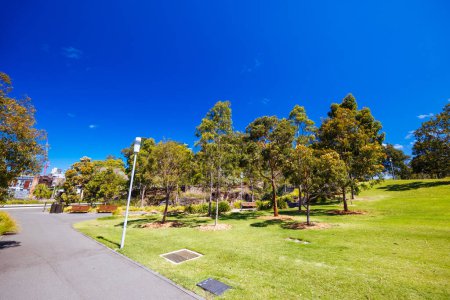 SYDNEY, AUSTRALIEN - 03. DEZEMBER 2023: Das Barangaroo Reservat und Stargazer Lawn in der Nähe von The Rocks in Sydney, New South Wales, Australien.