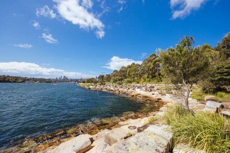 SYDNEY, AUSTRALIEN - 03. DEZEMBER 2023: Das Barangaroo Reservat in Sydney in der Nähe der Felsen in Sydney, New South Wales, Australien.