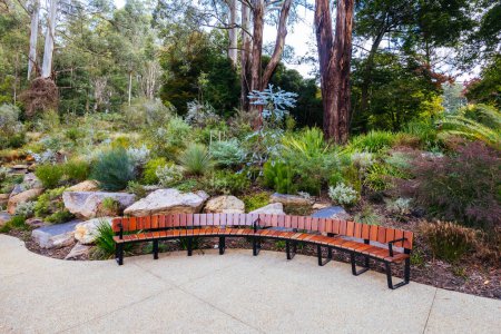 Ein Spätherbstnachmittag im Botanischen Garten der Dandenong Ranges im Chelsea Australian Garden im Rahmen des Olinda-Projekts in Olinda, Victoria Australia
