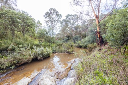 Photo for Mountain bike and hiking trails and landscape around Plenty Gorge in Northern Melbourne in Victoria, Australia - Royalty Free Image