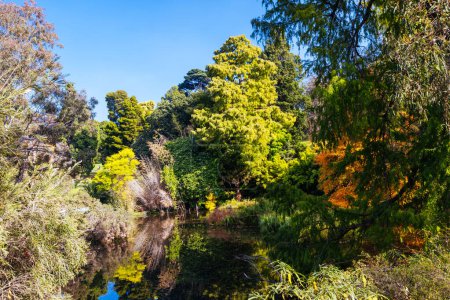 Königliche Botanische Gärten Victoria an einem kühlen Herbstmorgen in Melbourne, Victoria, Australien