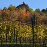 View on colorful vineyards of Langhe Roero Monferrato, UNESCO World Heritage in Piedmont, Italy in autumn season.