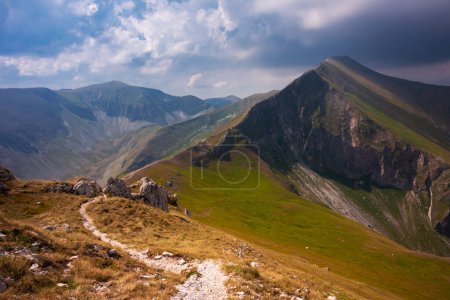 Summer mountain landscape with a trail,