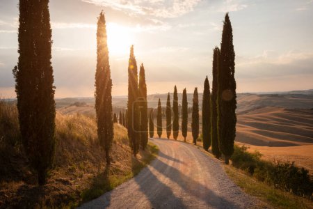 Téléchargez les photos : Tuscany, Italy,  typical tuscanian landscape - en image libre de droit
