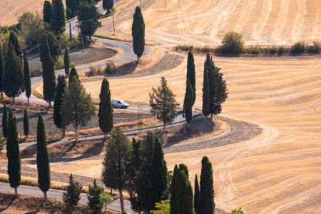 Foto de Tuscany, Italy,  typical tuscanian landscape - Imagen libre de derechos