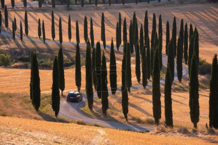 Foto de Tuscany, Italy,  typical tuscanian landscape - Imagen libre de derechos