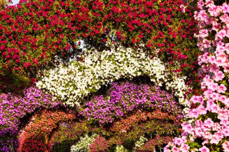 Téléchargez les photos : Beaucoup de fleurs magnifiquement arrangées dans un jardin, décoration de fleurs en plein air - en image libre de droit