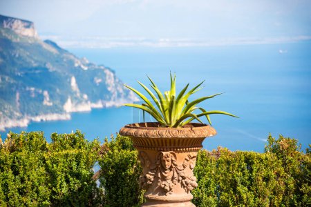 Téléchargez les photos : Vue panoramique d'un jardin terrasse à Ravello surplombant la côte amalfitaine, Italie - en image libre de droit