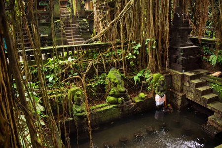 Foto de Antiguo templo en la selva tropical cubierto de plantas tropicales en Bali - Imagen libre de derechos