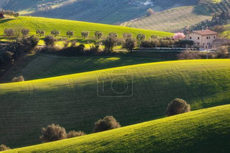 Photo for Countryside landscape, agriculture fields among hills - Royalty Free Image