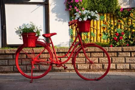 Téléchargez les photos : Vélo rouge avec des fleurs dans un beau jardin - en image libre de droit