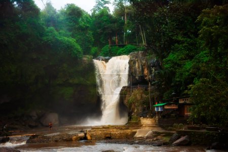 Téléchargez les photos : Cascade panoramique dans une forêt tropicale luxuriante sur l'île de Bali, Indonésie - en image libre de droit