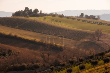 Téléchargez les photos : Paysage rural en automne, champs agricoles entre collines - en image libre de droit