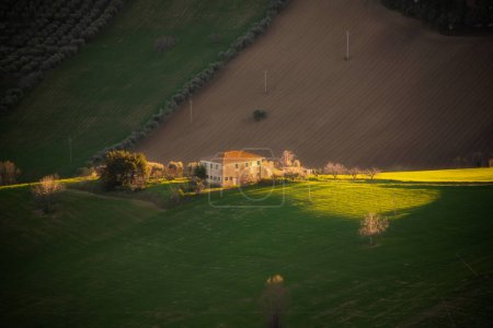 Téléchargez les photos : Paysage rural, champs agricoles entre collines - en image libre de droit