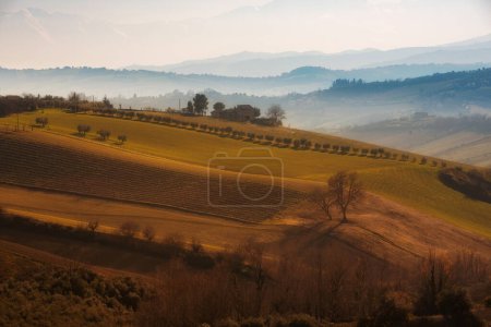 Foto de Paisaje rural en otoño, campos agrícolas entre colinas - Imagen libre de derechos
