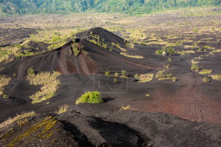 Téléchargez les photos : Voyage au volcan Batur à Bali, Indonésie. Sable de lave noir et quelques plantes vertes - en image libre de droit