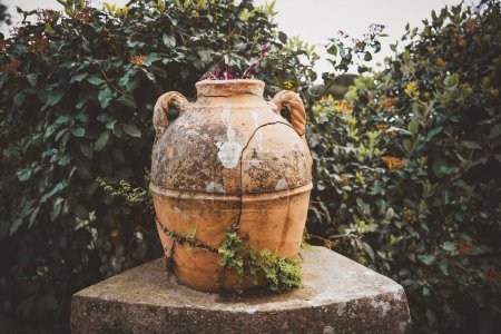 Téléchargez les photos : Vieux vase en pierre dans un parc en Italie - en image libre de droit