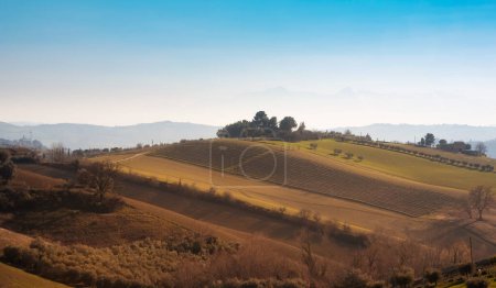 Téléchargez les photos : Paysage rural au printemps, champs entre collines - en image libre de droit