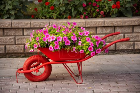 Téléchargez les photos : Jolie brouette avec fleurs, design de jardin - en image libre de droit