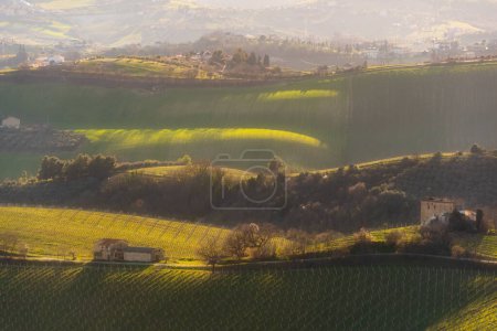 Téléchargez les photos : Paysage rural, champs agricoles entre collines - en image libre de droit
