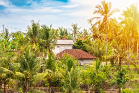 Foto de Casas de pueblo entre bosque tropical con palmeras en Bali, Indonesia - Imagen libre de derechos