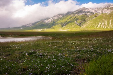 Foto de Pastos de montaña en verano, paisaje natural - Imagen libre de derechos