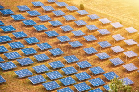 Foto de Granja solar. Paneles solares en el campo, energía verde, medio ambiente - Imagen libre de derechos