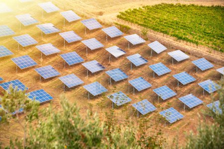 Foto de Granja solar. Paneles solares en el campo, energía verde, medio ambiente - Imagen libre de derechos