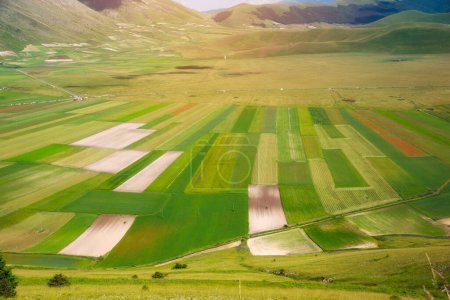 Téléchargez les photos : Vallée agricole en montagne en été - en image libre de droit