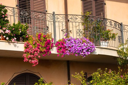 Foto de Casa balcón decorado con diferentes flores de colores - Imagen libre de derechos