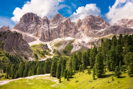 Foto de Alpes de Dolomita en Italia, alta montaña y bosque verde - Imagen libre de derechos