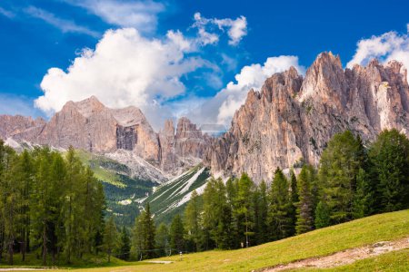 Dolomite alps in Italy, high mountain and green forest