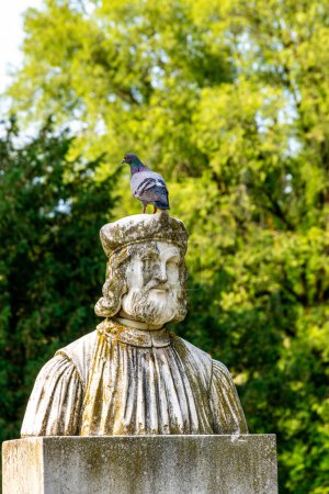 Vicenza, Venetien - Italy - 06-12-2021: Mossy stone bust of Giangiorgio Trissino with a pigeon on top, set against lush greenery in Giardino Salvi, Vicenza