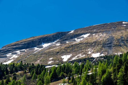 Obertauern, Salzbourg - Autriche - 16-06-2021 : Des clôtures de neige alpines entre des arbres verts luxuriants dans les montagnes autrichiennes