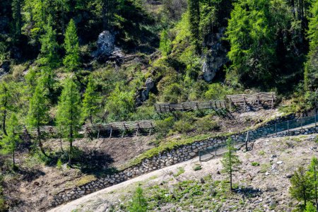 Obertauern, Salzbourg - Autriche - 16-06-2021 : Des clôtures de neige alpines entre des arbres verts luxuriants dans les montagnes autrichiennes