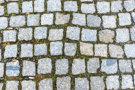 Loebau, Saxony - Germany - 04-17-2021: Detailed texture of an old cobblestone path, showcasing patterns and small patches of moss