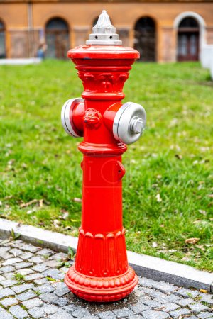 Foto de Loebau, Sajonia - Alemania - 17-04-2021: Un hidrante rojo recién pintado en un camino empedrado se destaca contra un exuberante prado verde en el fondo, listo para usar en una emergencia - Imagen libre de derechos
