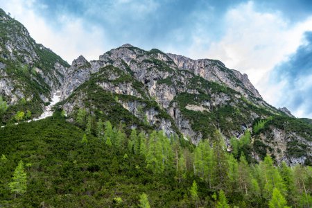 Alpen, Südtirol - Italien - 06-07-2021: Blick auf runde, baumlose Gipfel in den Alpen mit Schneehang und grünen Bäumen am Fuß vor weißem Himmel