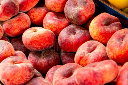Treviso, Venetien - Italy - 06-08-2021: Ripe flat peaches, also known as doughnut peaches, neatly arranged for sale at an Italian market