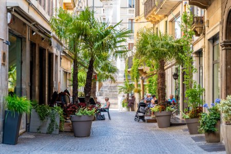 Téléchargez les photos : Vicence, Venetien - Italie - 06-12-2021 : Les gens aiment passer du temps dans les cafés sur une ruelle bordée de palmiers et décorée de plantes à fleurs à Vicence, en Italie, au milieu de l'architecture historique - en image libre de droit