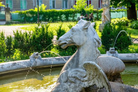 Téléchargez les photos : Vicence, Venetien - Italie - 06-12-2021 : Gros plan d'une statue de tête de cheval crachant de l'eau de son nez à la fontaine Winged Horse de Vicence - en image libre de droit