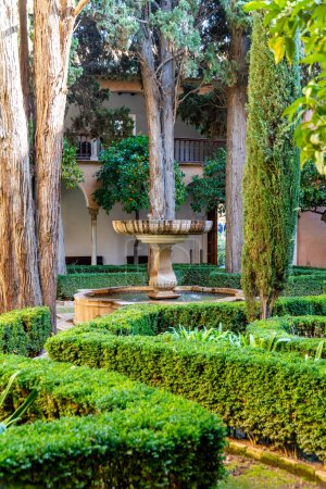 Téléchargez les photos : Grenade, Grenade - Espagne - 30-01-2024 : Centres de fontaine luxuriants jardin Lindaraja Viewpoint, avec des éléments baroques et nasrides, dans l'Alhambra - en image libre de droit