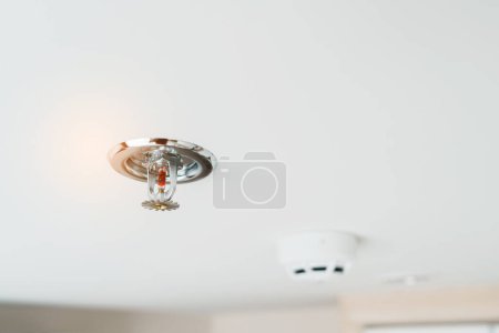 Arroseur d'incendie et détecteur de détecteur de fumée monté sur le toit dans la maison ou l'appartement. Sûreté et conflagration concept de sécurité