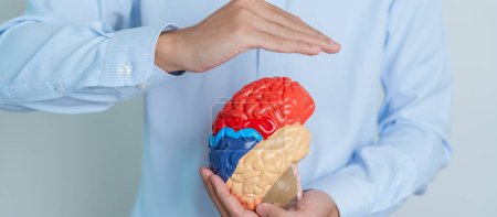 Foto de Man holding human Brain model. World Brain Tumor day, Brain Stroke, Dementia, alzheimer, parkinson and world mental health concept - Imagen libre de derechos