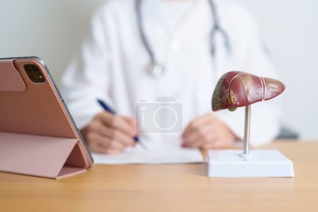 Doctor with human Liver model and tablet. Liver cancer and Tumor, Jaundice, Viral Hepatitis A, B, C, D, E, Cirrhosis, Failure, Enlarged, Hepatic Encephalopathy, Ascites Fluid in Belly and health
