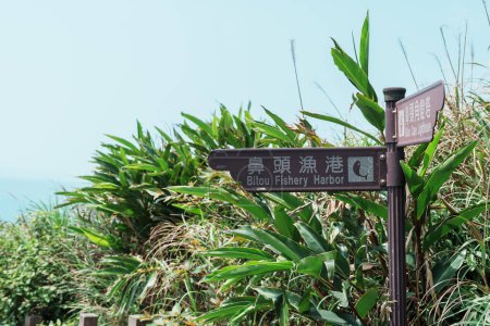Foto de Sendero de senderismo en el Cabo de Bitou en la ciudad de New Taipei. atracciones históricas y populares cerca de Taipei. Asia y verano Concepto de viaje - Imagen libre de derechos